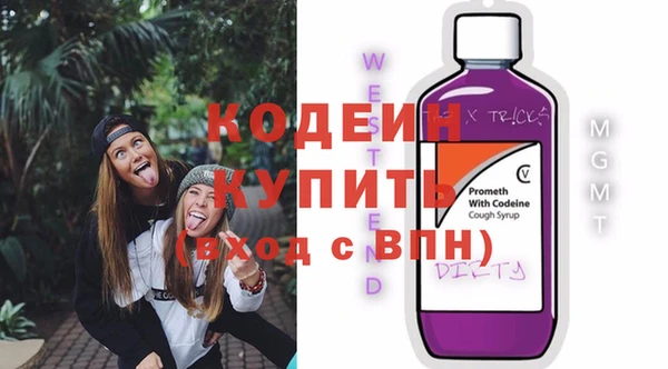 дмт Абаза