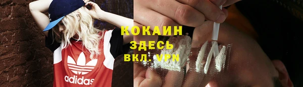 дмт Абаза