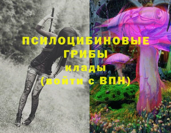 MDMA Premium VHQ Покров