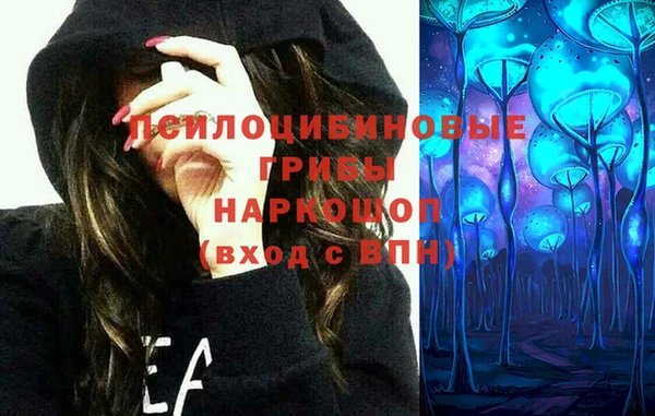 гидра Покачи